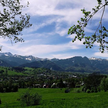 Quality House - Cisza Nad Dolina Villa Zakopane Luaran gambar